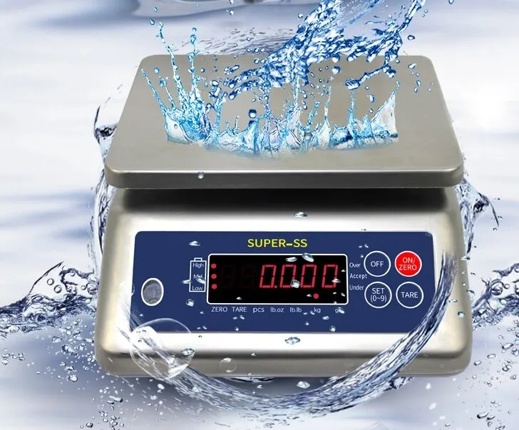 SS Waterproof Scale